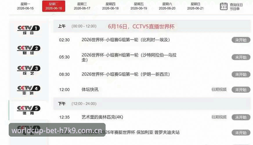 签证困局与世界杯之旅：掌握球迷出行受阻的深层原因